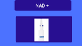 NAD + Nasal Spray